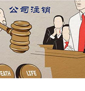 成都丽全财税管理咨询 全方位财税服务，助力企业稳健发展
